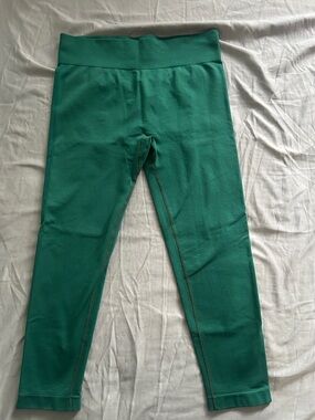 Women Green Stretch Active Leggings